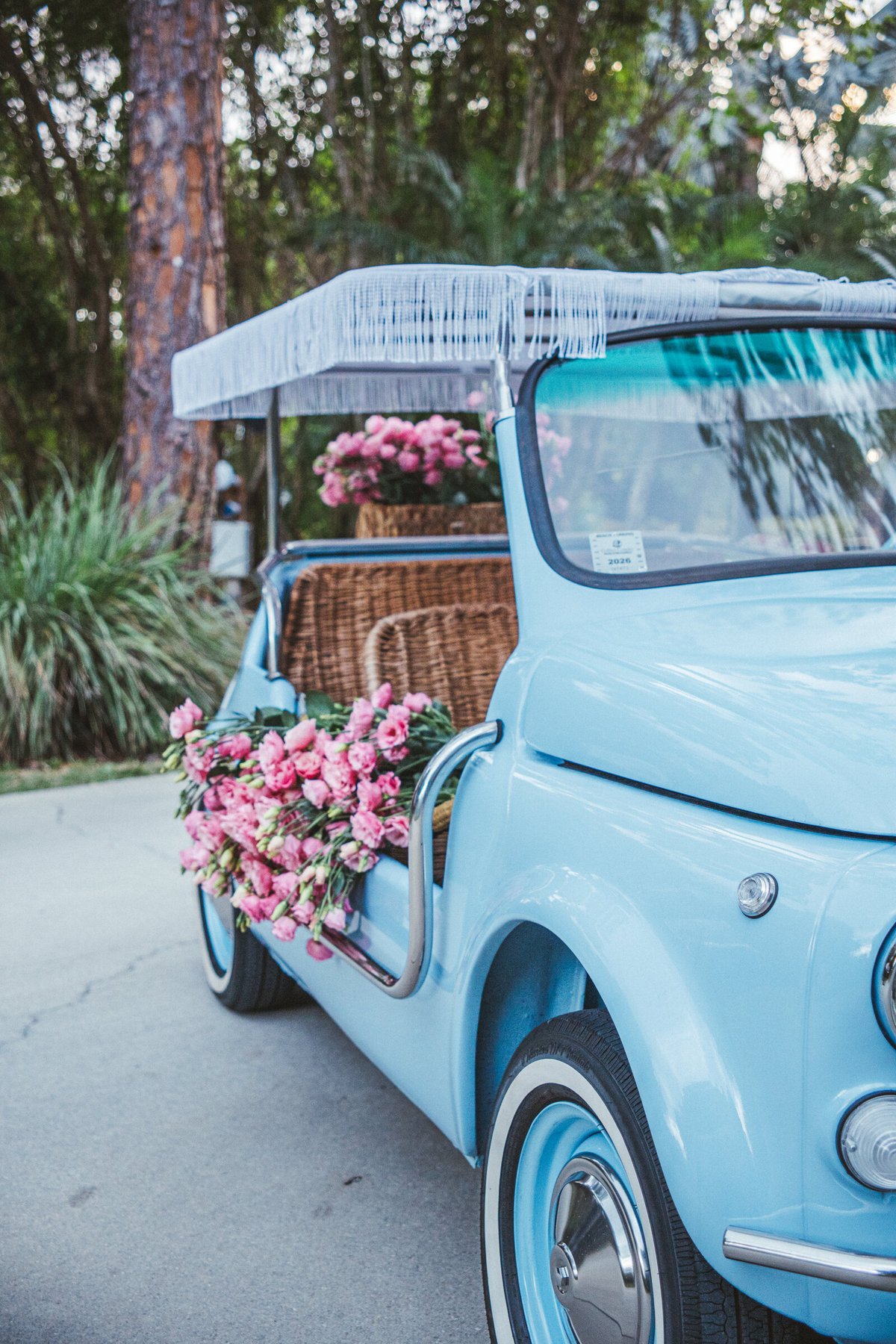 Our Fiat 500 Jolly draped in pink Sceusa Flora lisianthus, parked under its fringe canopy