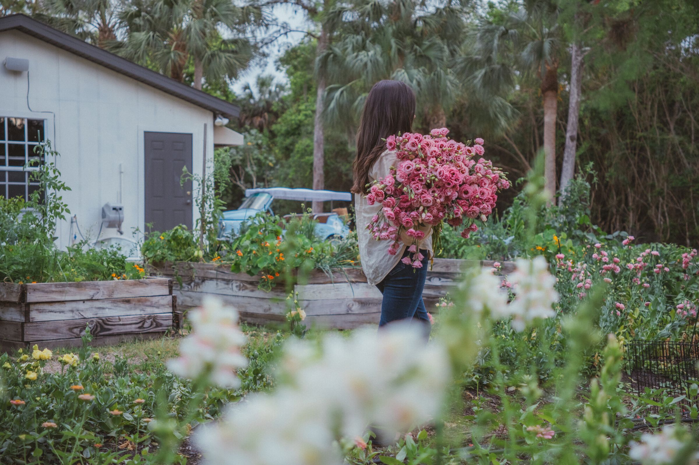 Mia walking through the garden carrying an armful of pink lisianthus, the white shed and Jolly visible behind, white snapdragons soft in the foreground