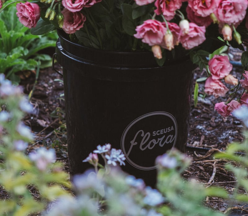 A black Sceusa Flora bucket overflowing with pink lisianthus, set in the garden among blue tweedia