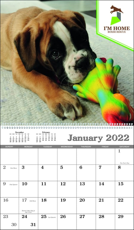 Triumph® Calendars Custom Single Image Appointment Calendar — view 6