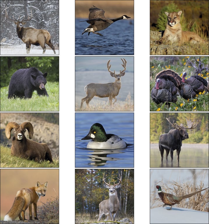 Triumph® Calendars Sportsman Wall Calendar — view 11