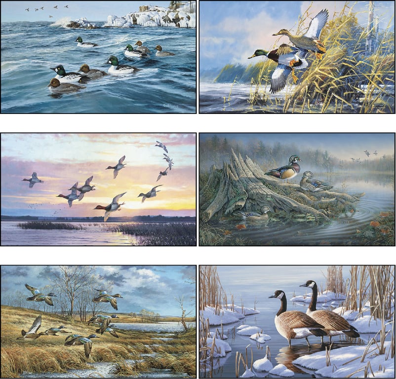 Triumph® Calendars North American Waterfowl Wall Calendar — view 4
