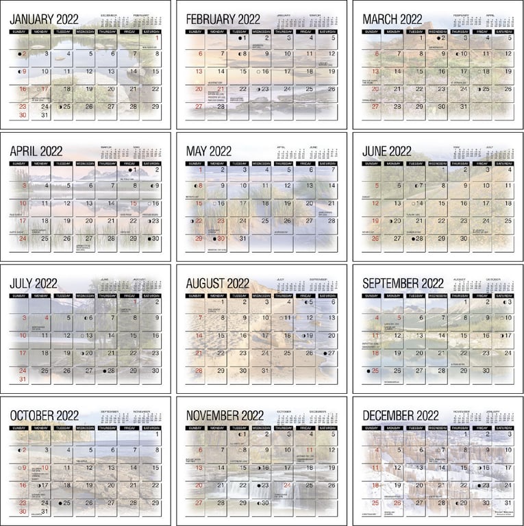 Triumph® Calendars America's Beauty Desk Calendar — view 12
