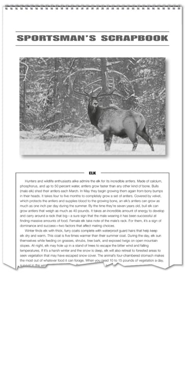 Triumph® Calendars Sportsman Wall Calendar — view 6