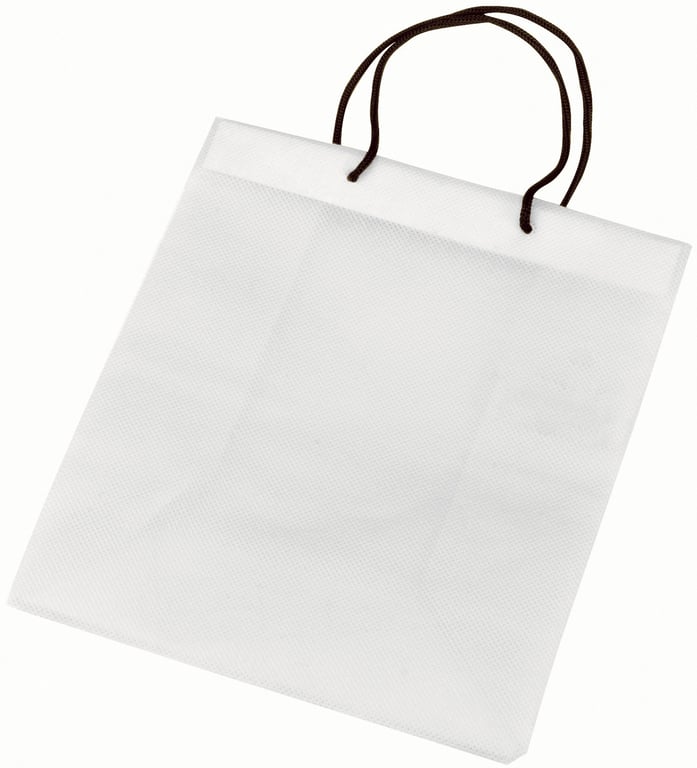 Non-Woven Polypropylene Gift Bag with Braided Handles — view 10