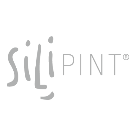 Silipint