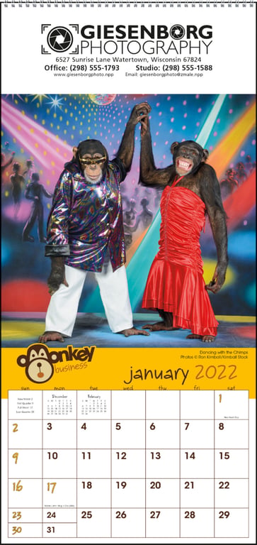 Triumph® Calendars Monkey Business Wall Calendar — view 5