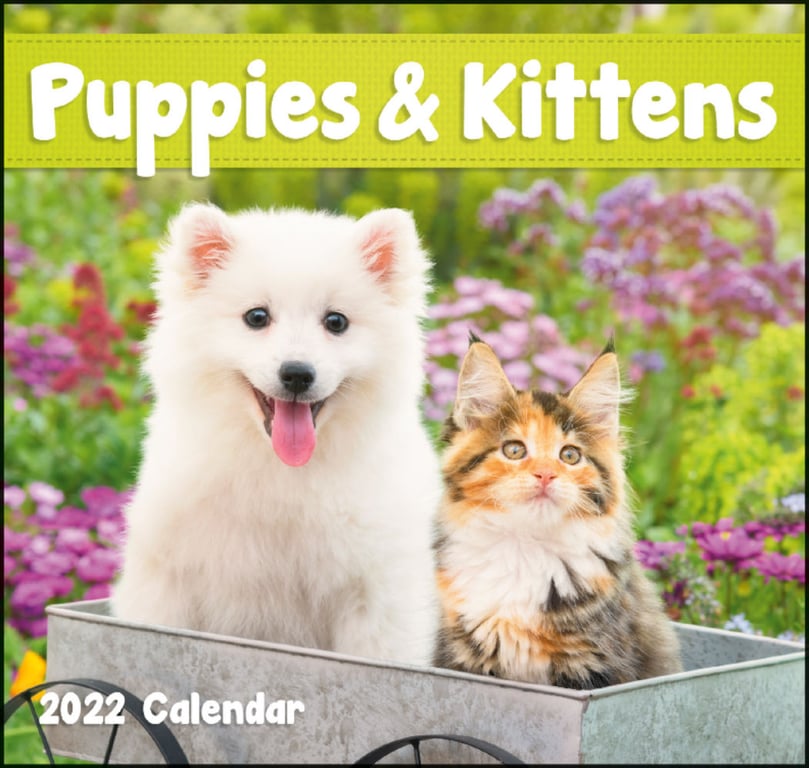 Good Value™ Puppies & Kittens Mini Calendar — view 11