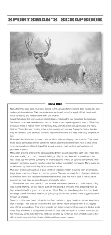 Triumph® Calendars Sportsman Wall Calendar — view 8