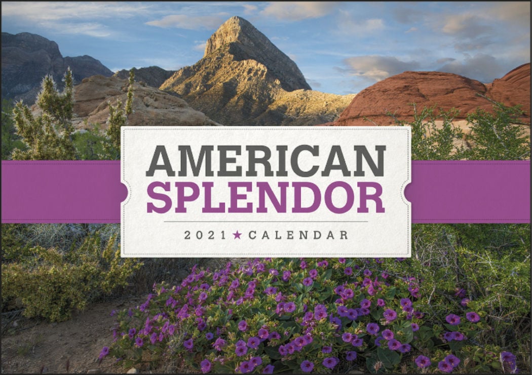 Triumph® Calendars American Splendor Wall Calendar — view 7