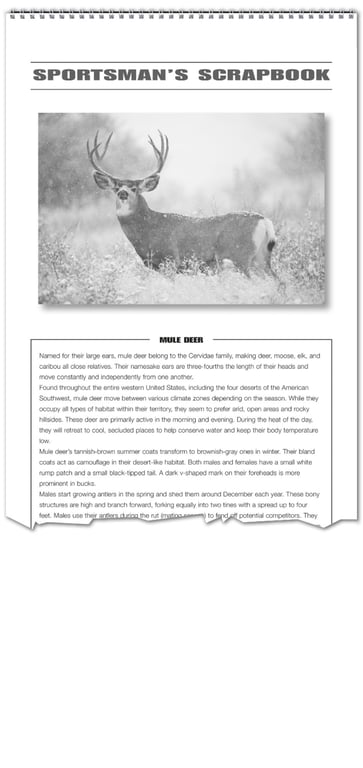 Triumph® Calendars Sportsman Wall Calendar — view 9