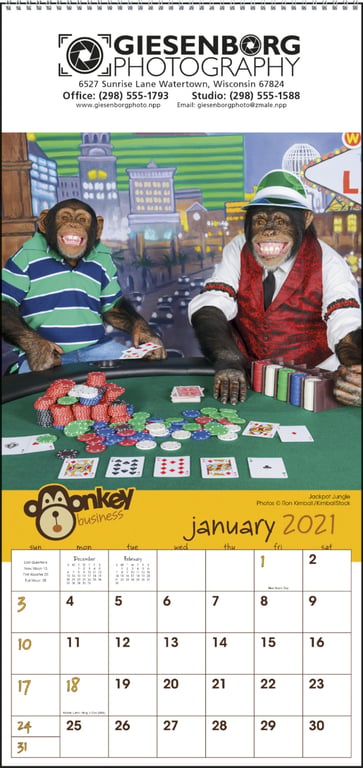 Triumph® Calendars Monkey Business Wall Calendar — view 4
