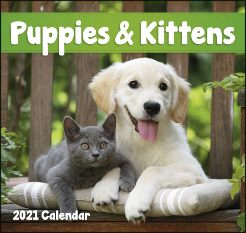 Good Value™ Puppies & Kittens Mini Calendar — view 15