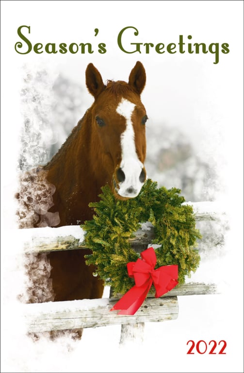 Triumph® Calendars Full-Color Weekly Memo Calendar — view 15