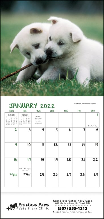 Good Value™ Puppies & Kittens Mini Calendar — view 14