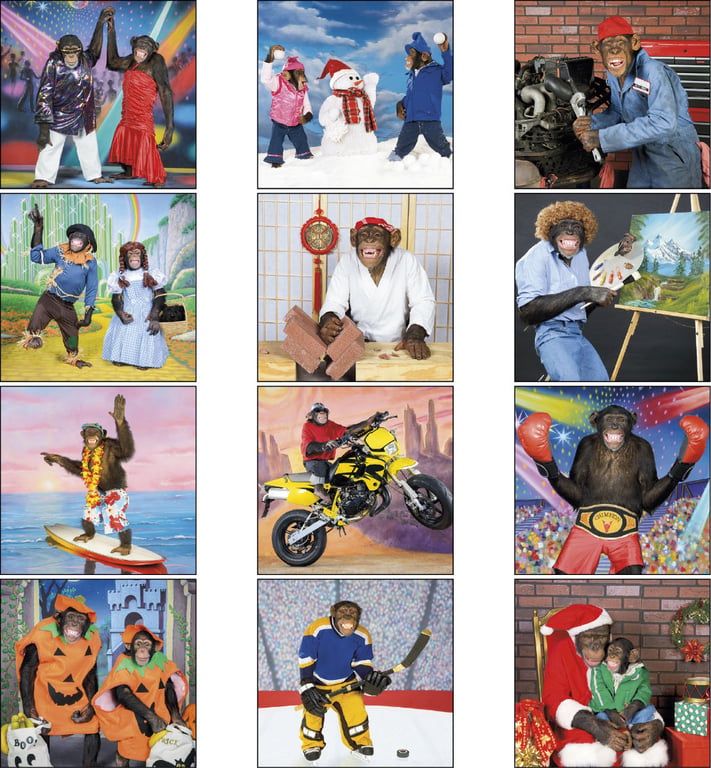 Triumph® Calendars Monkey Business Wall Calendar — view 6