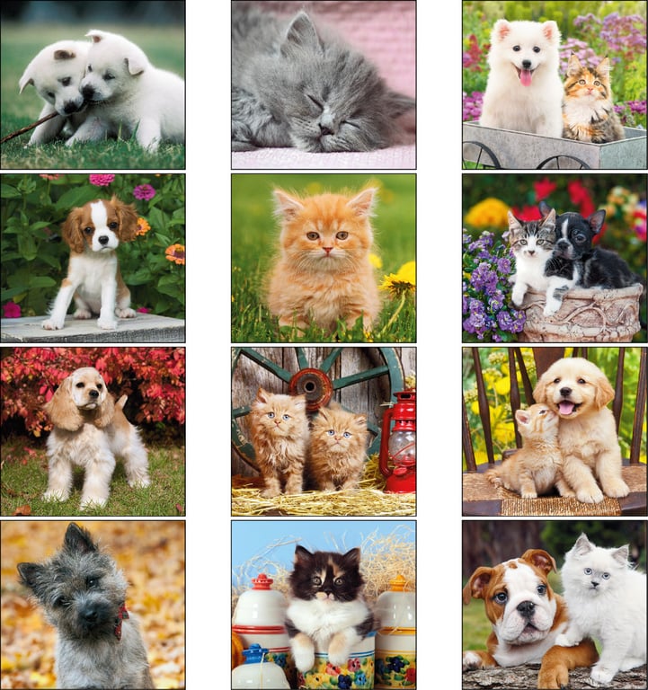 Good Value™ Puppies & Kittens Mini Calendar — view 13