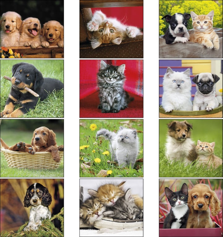 Good Value™ Puppies & Kittens Mini Calendar — view 16