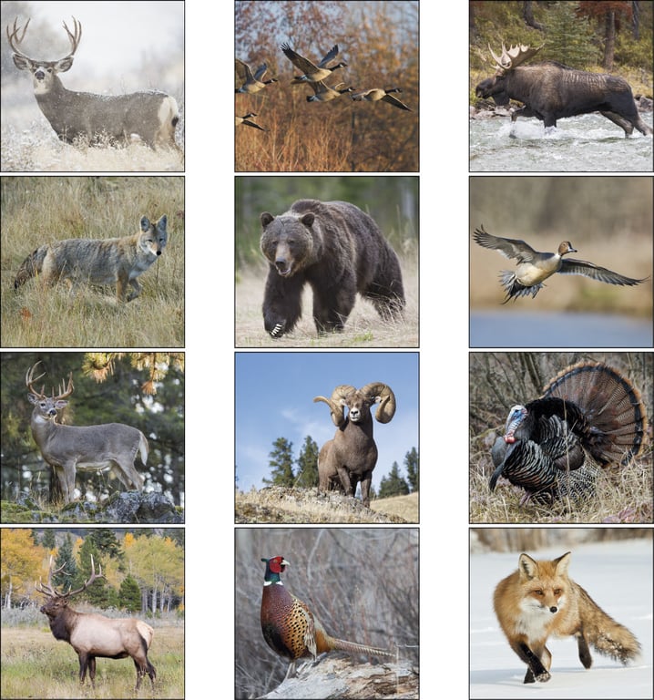Triumph® Calendars Sportsman Wall Calendar — view 10