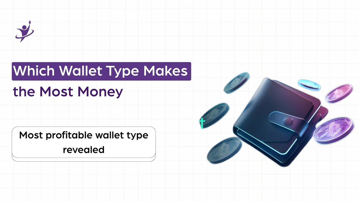 Which Crypto Wallet Type Offers Maximum Monetization Potential?