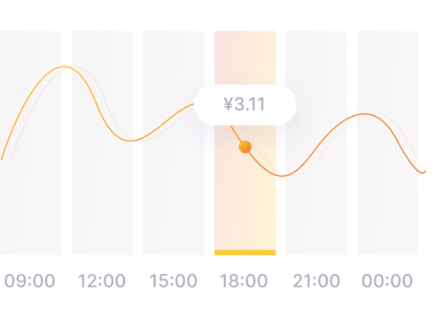 Professional Services