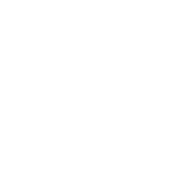 Dashboards & Reports 