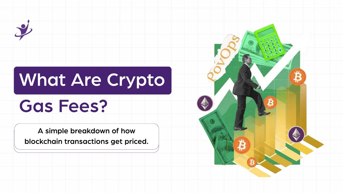 What Are Crypto Gas Fees? Everything You Need to Know