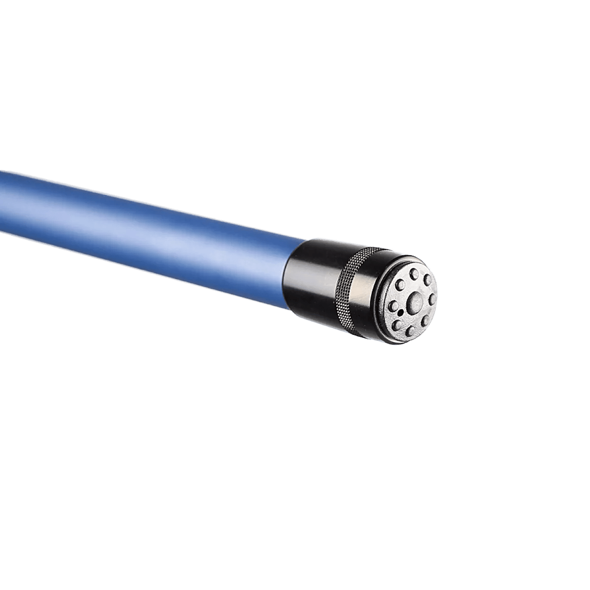 Golden Catch Rod Euro Master Pole