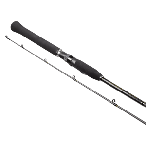 ΠΠͺΠΠΠ¦Π Π‘ΠΠΠΠΠΠ -Golden Catch Rod Desire DSS-662MH 1.98m 10-35g ΠΠ ΠͺΠΠΠ