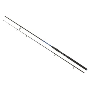 Спининг Въдица Passion Power 3.00m 40-125g Golden Catch 2039142