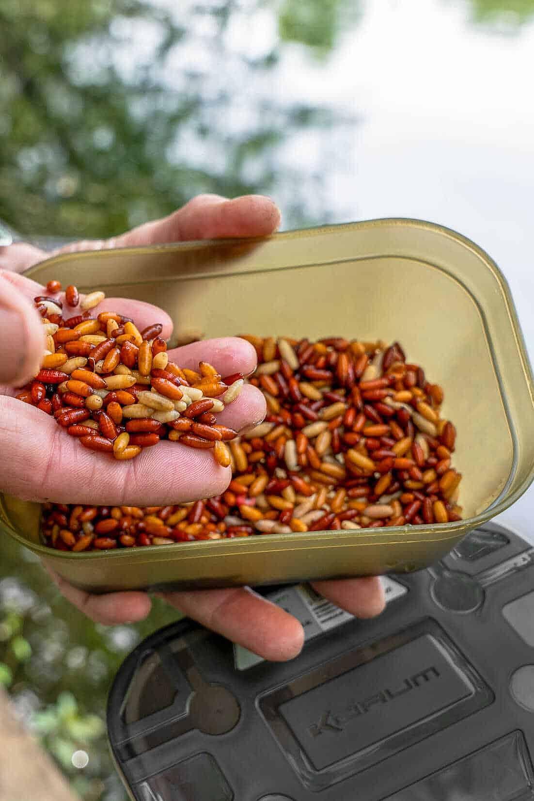kutia-za-strav-korum-bait-tub-1pt-0-6l