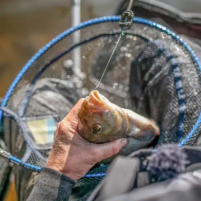 glava-za-kep-preston-free-flow-landing-net