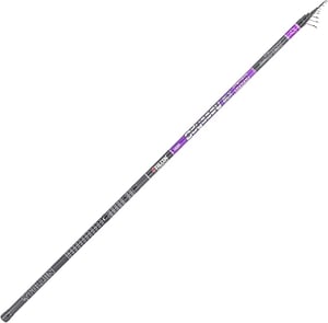 Болонезе Falcon Odysey