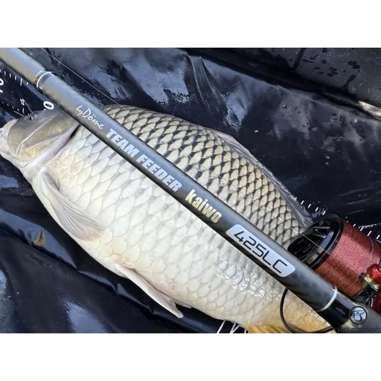 fider-viditsa-za-distantsiya-by-dome-team-feeder-kaiwo-395lc-za-150m