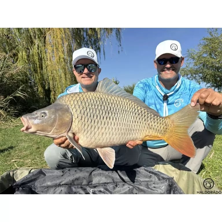 fider-viditsa-za-distantsiya-by-dome-team-feeder-kaiwo-425lc-za-180m
