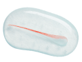Minoxidil