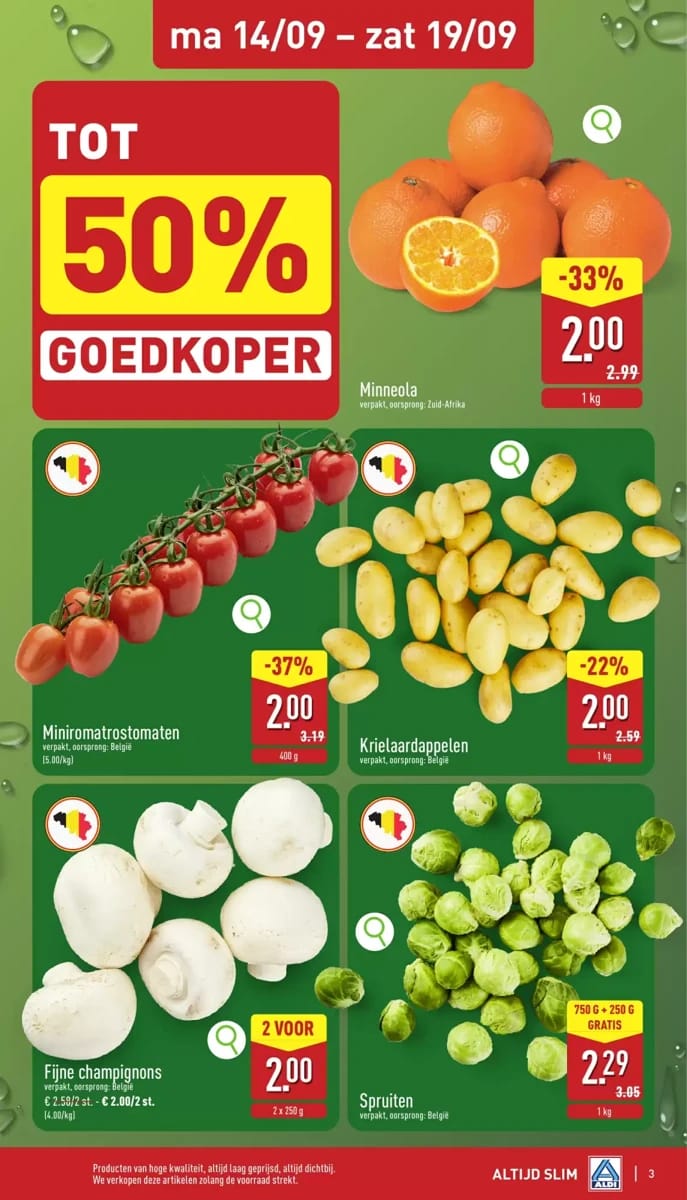 Folder Aldi, pagina 3 van 32