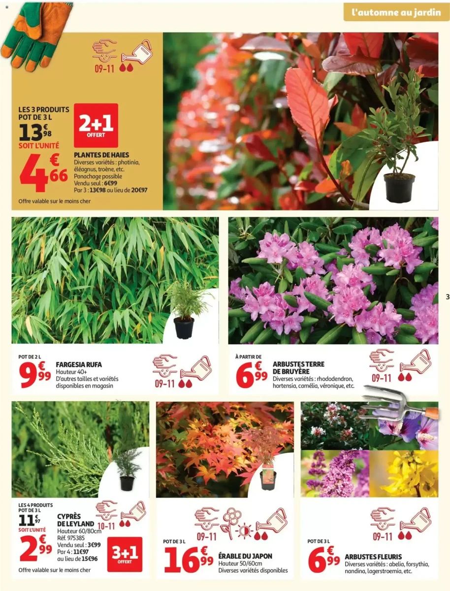 Folder Auchan, pagina 3 van 12