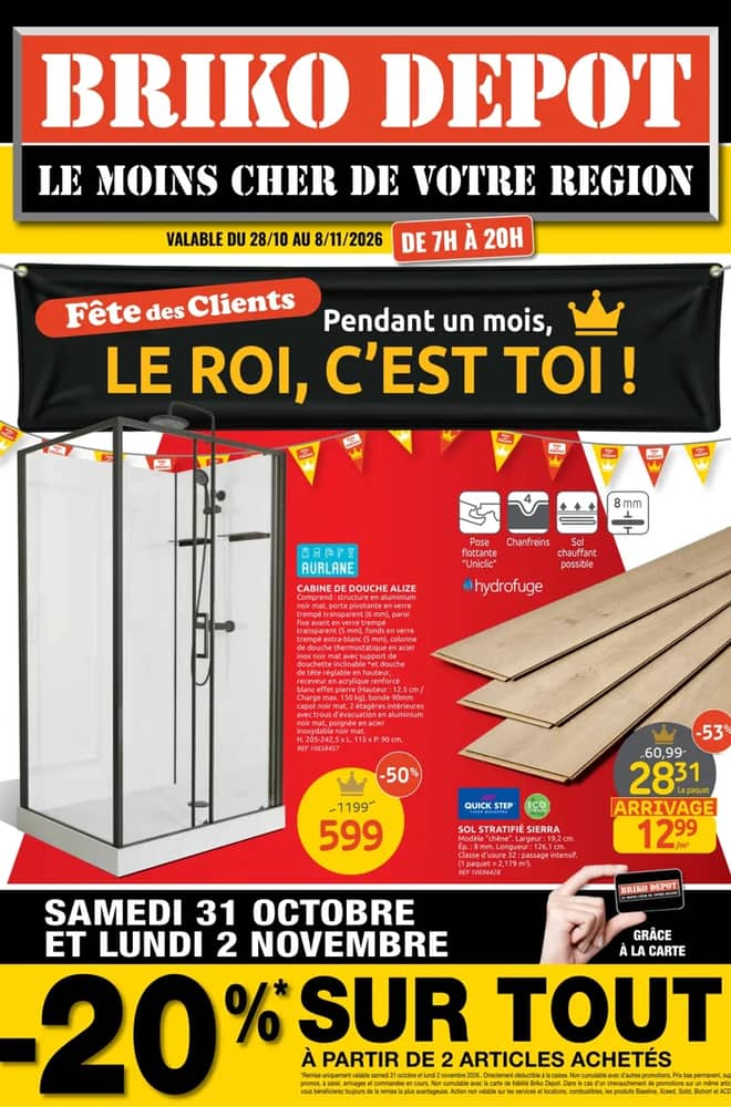 Voorpagina van de folder van Brico Dépôt, geldig 14 oktober 2026 – 8 november 2026
