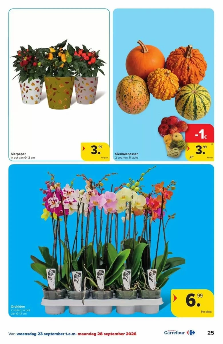 Folder Carrefour Drive, pagina 25 van 60