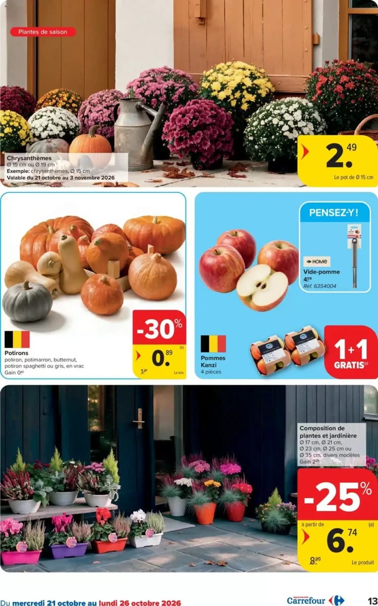 Folder Carrefour, pagina 13 van 49