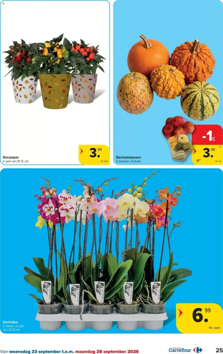 Folder Carrefour, pagina 25 van 61