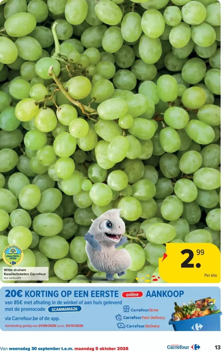 Folder Carrefour, pagina 13 van 48