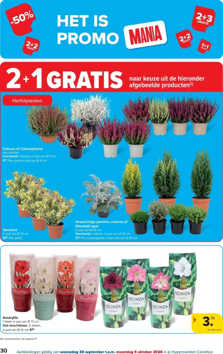 Folder Carrefour, pagina 30 van 48