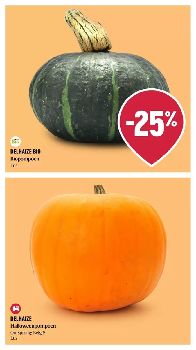 Folder Delhaize, pagina 11 van 52