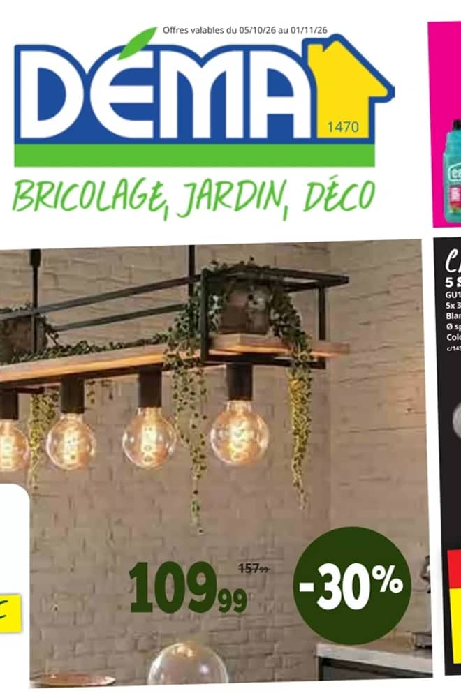 Voorpagina van de folder van Dema, geldig 5–11 oktober 2026