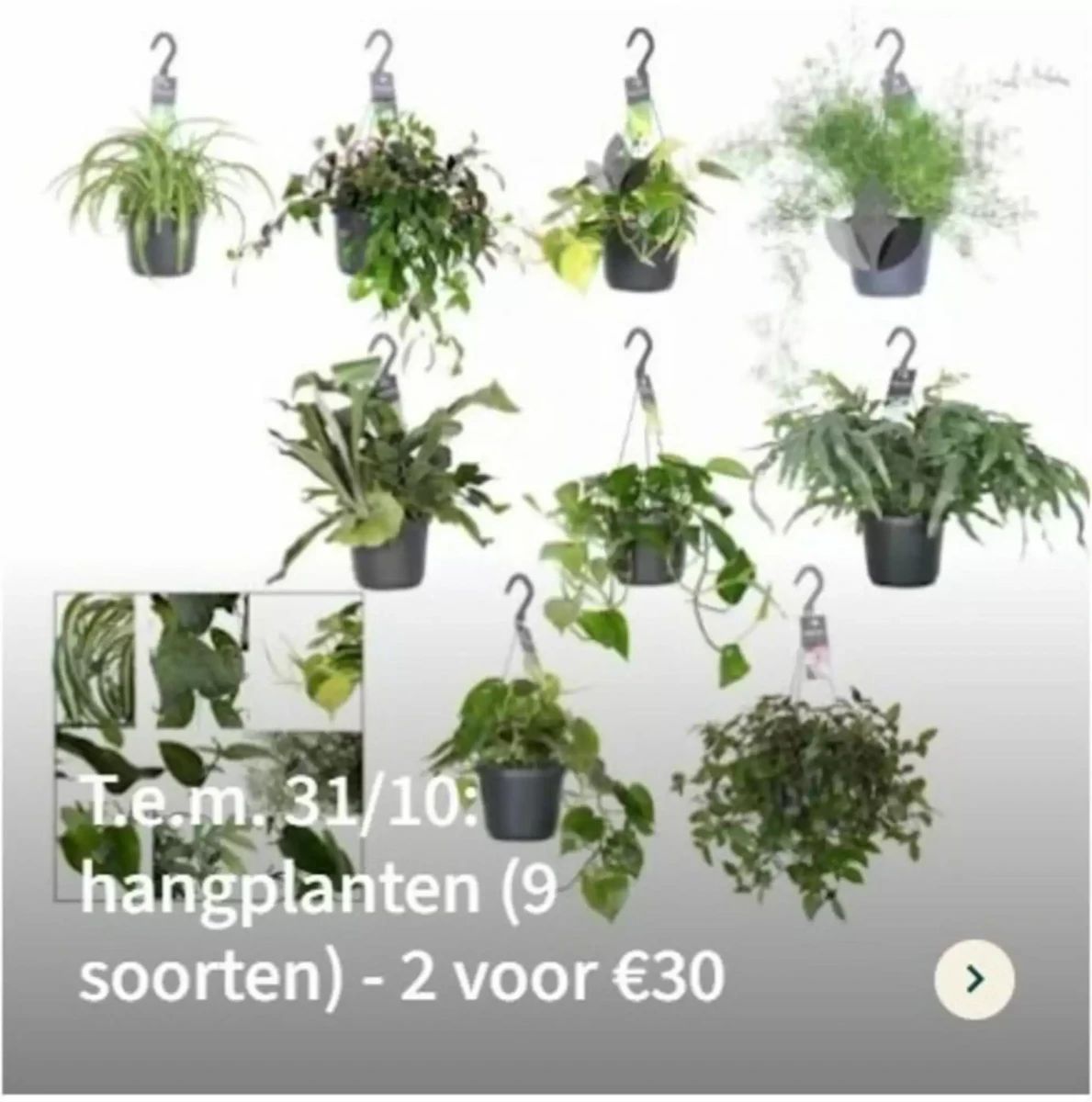 Folder Eurotuin, pagina 2 van 4