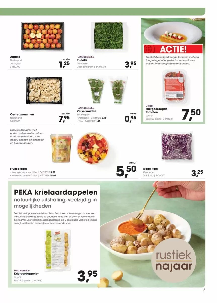 Folder Hanos, pagina 3 van 32