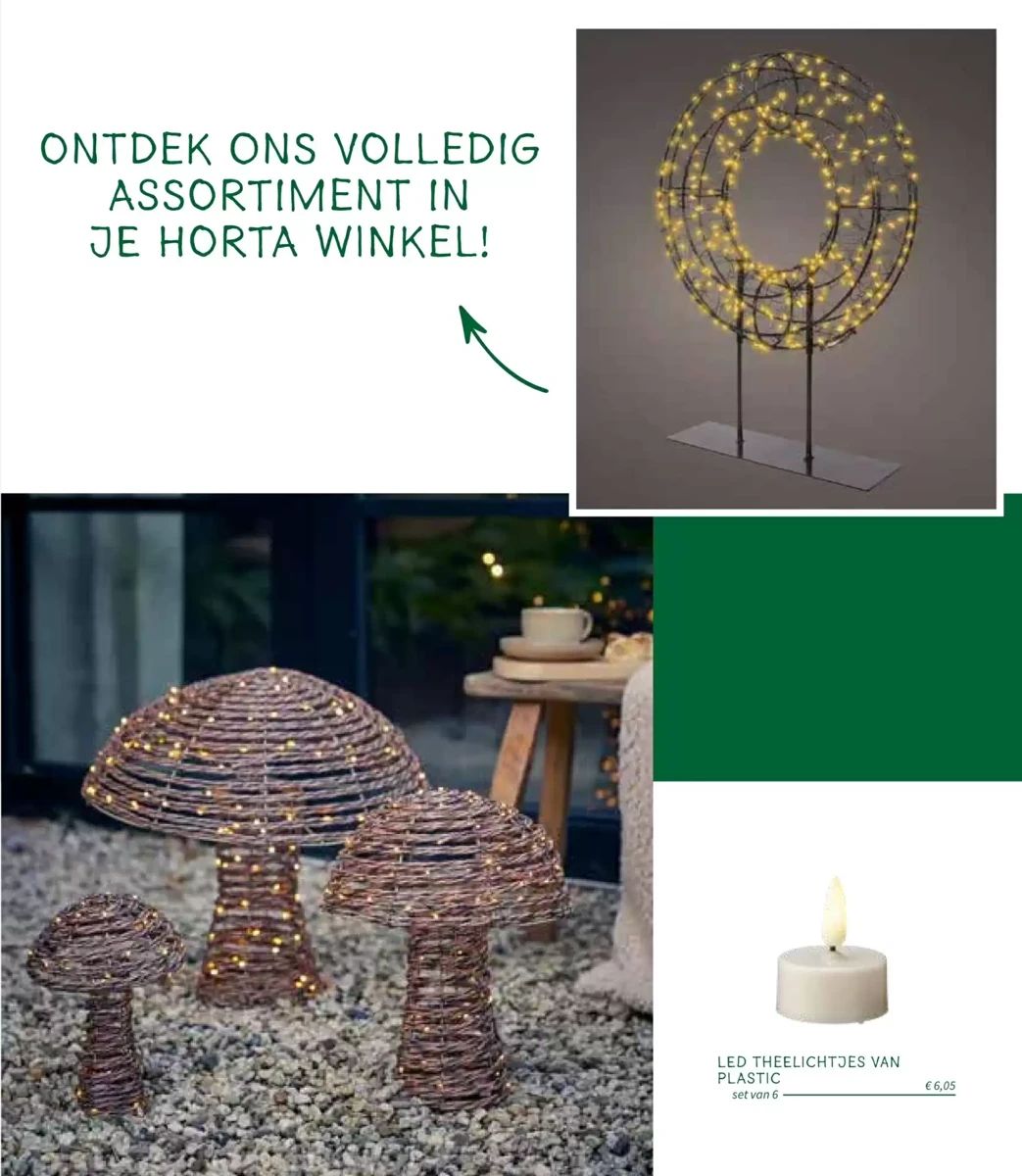 Folder Horta, pagina 15 van 21
