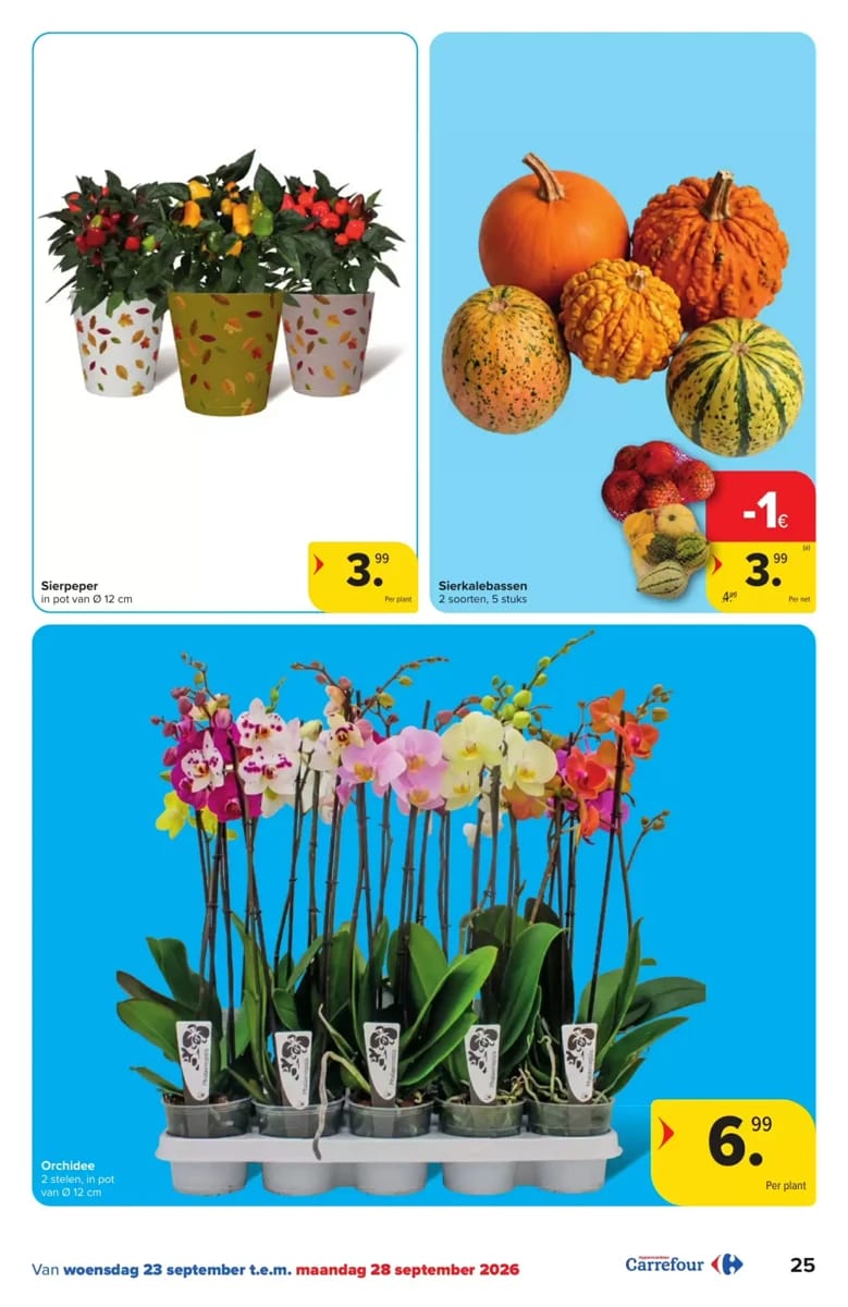 Folder Hyper Carrefour, pagina 25 van 61